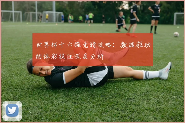世界杯十六强竞猜攻略：数据驱动的体彩投注深度分析