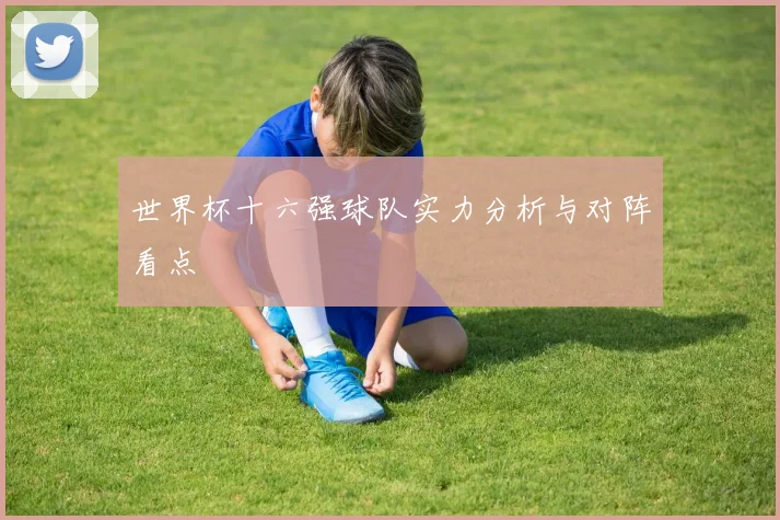 世界杯十六强球队实力分析与对阵看点